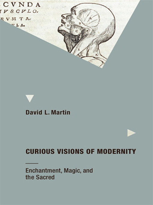 Title details for Curious Visions of Modernity by David L. Martin - Available